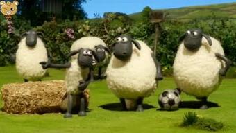 爆料小羊没烦的视频